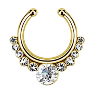 Neus-ring Goud clear strass